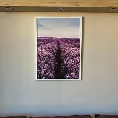 Quiet & Comfortable Urban Retreat * Sofie