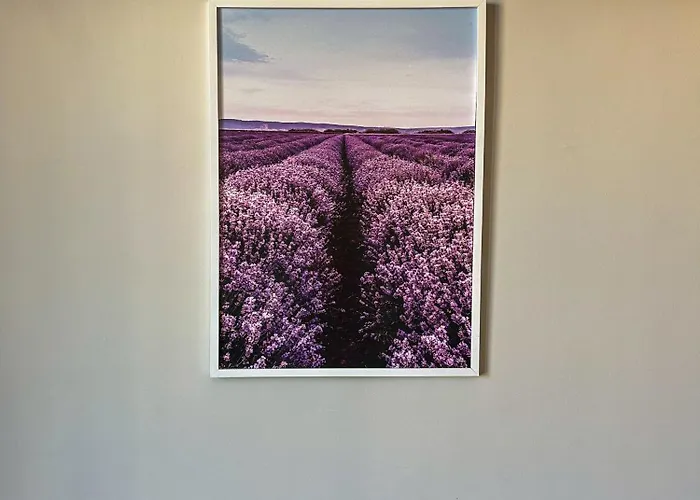 Quiet & Comfortable Urban Retreat * Sofia